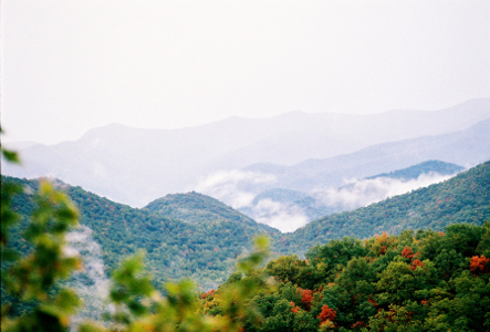 [The mountains in the distance are just shadowy and covered with a hazy white. The mountains in the midsection of the image are mostly green but between the lumps are very white clouds. The foreground has some trees which are fully orange-red amid the rest of the greenery.]